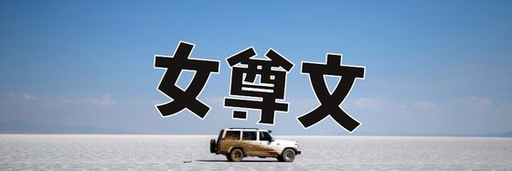 女尊文，都市小说杂七杂八的